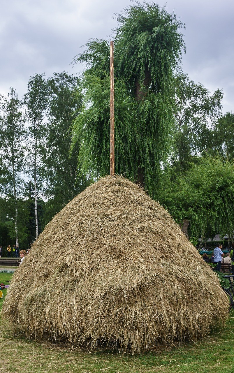 干草,干草堆,农业