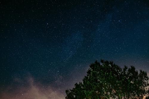 天空、夜、星星