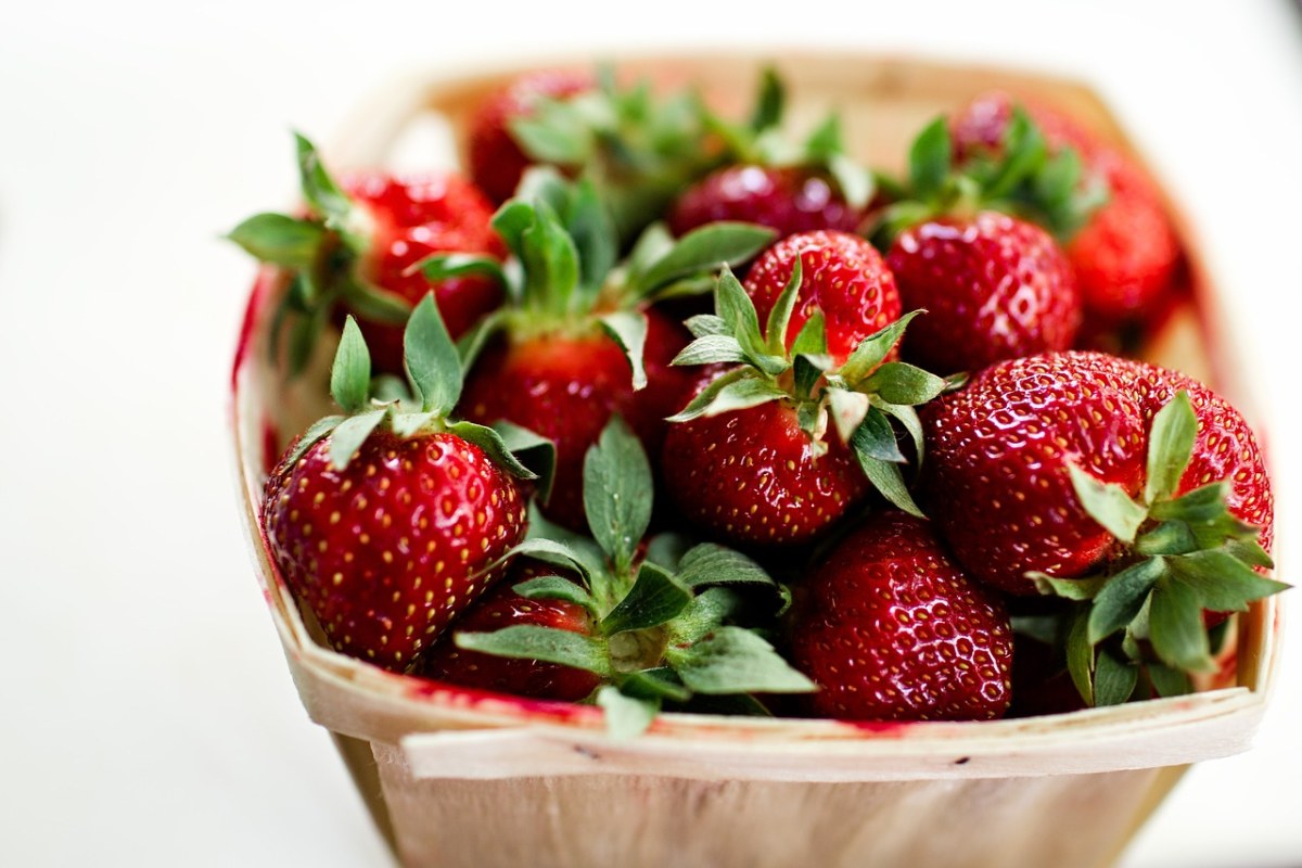 草莓、水果、食品免费图片