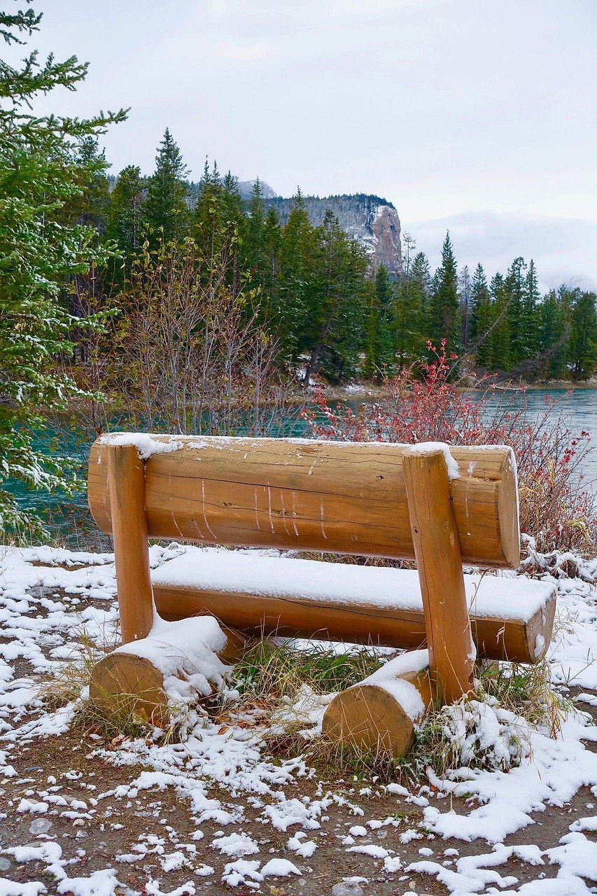 座位、雪、木免费图片