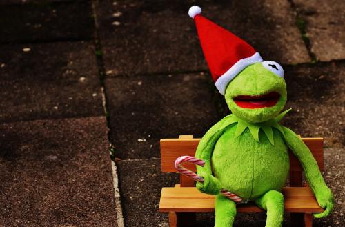 柯、青蛙、圣诞节