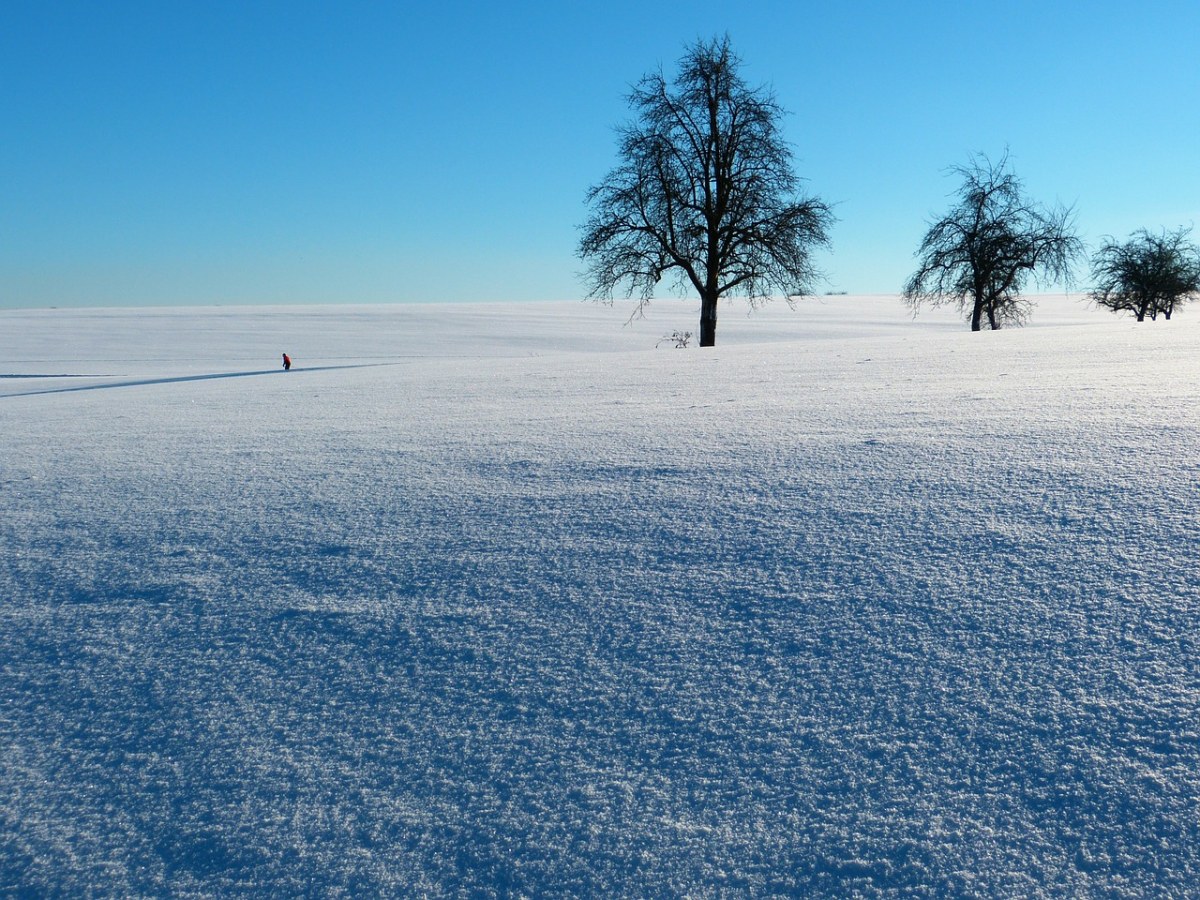 雪、痕迹、冬天免费图片