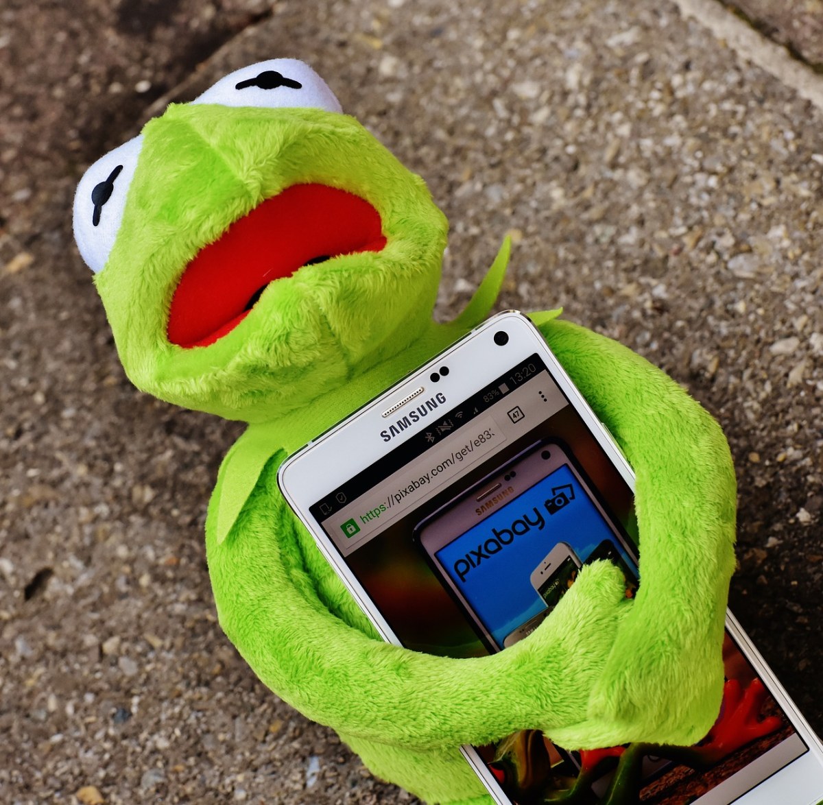 柯、青蛙、智能手机免费图片