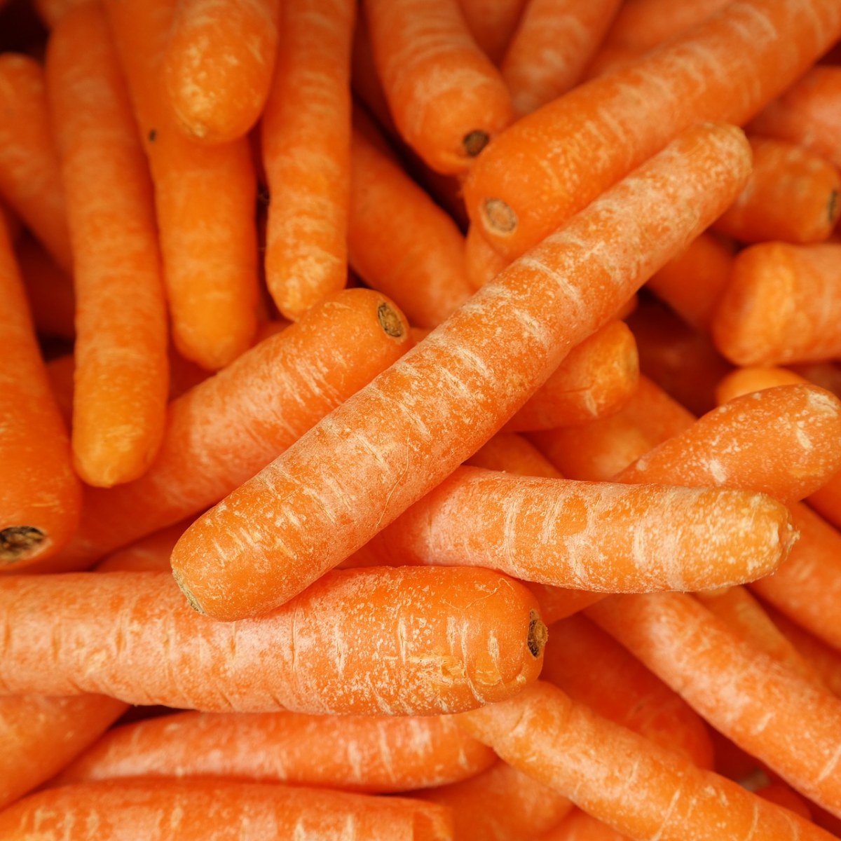胡萝卜、新鲜、蔬菜免费图片