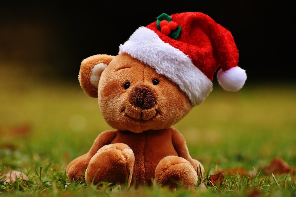 圣诞节、泰迪熊、毛绒玩具免费图片