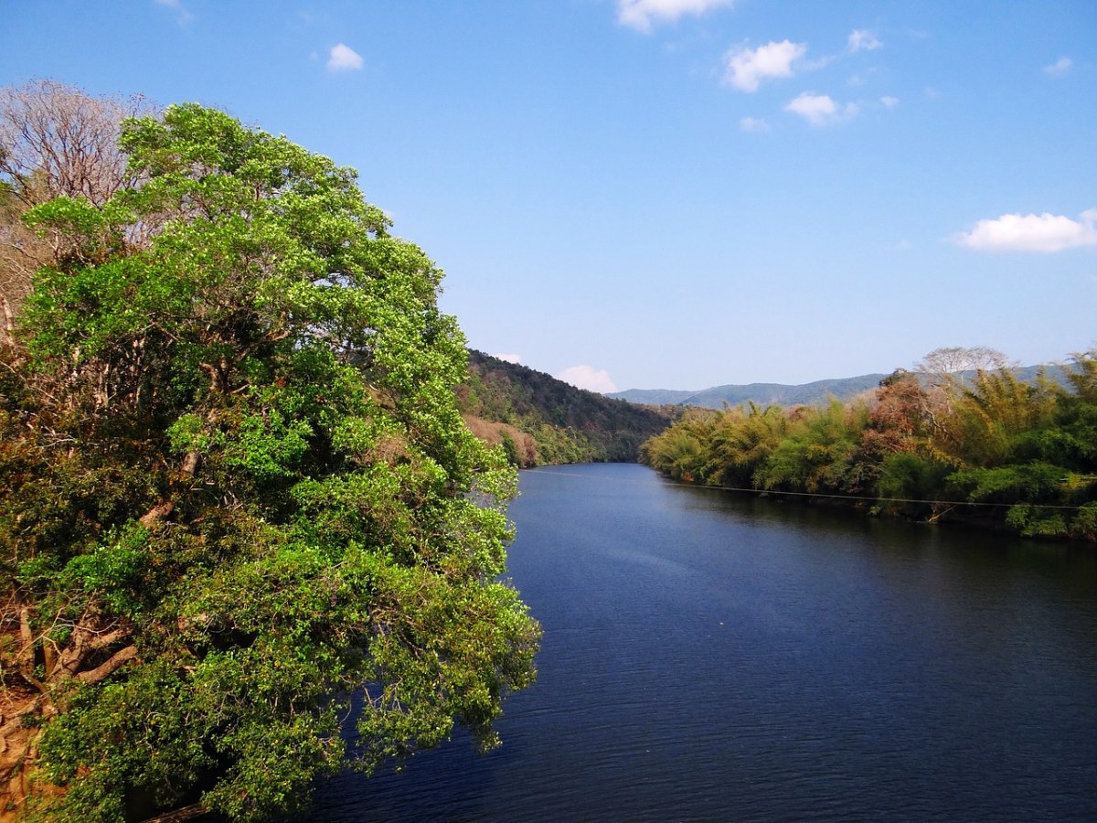 gangavali,河,绿化,西高止山脉