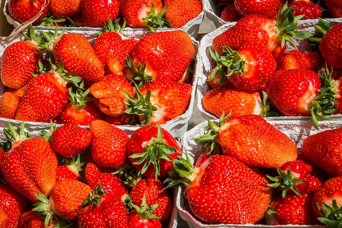 草莓、水果、维生素免费图片