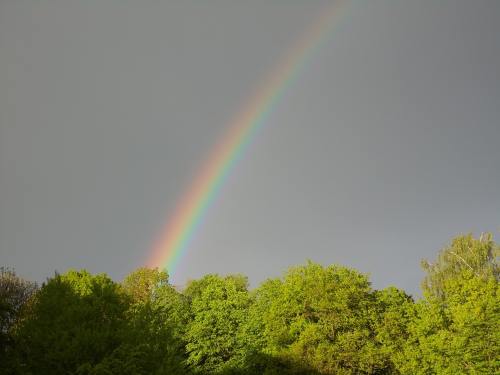 彩虹、雨、太阳