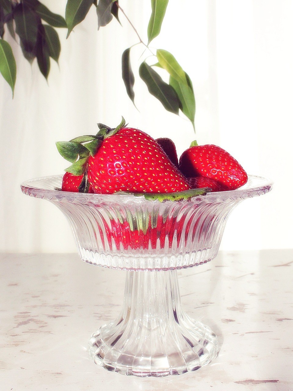 盘子里的草莓免费图片