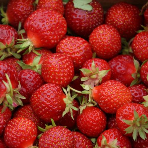 草莓、浆果、红色浆果