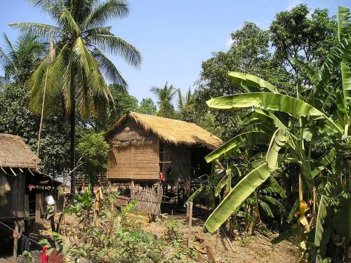 东南亚柬埔寨茅草棚屋
