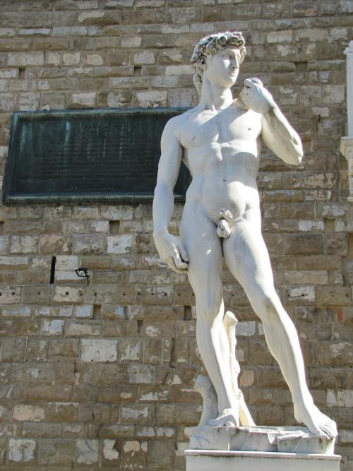 米开朗基罗的大卫、雕像