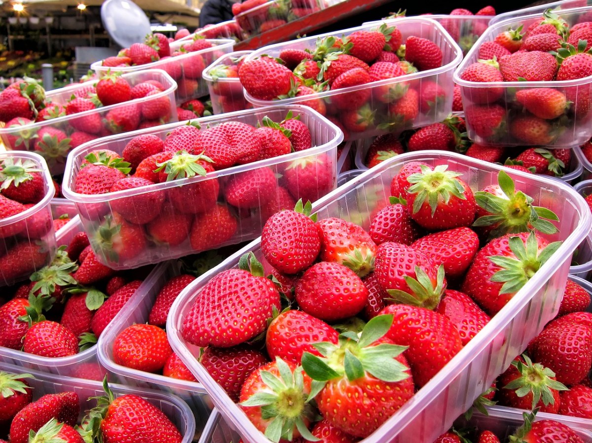 草莓、新鲜、市场免费图片