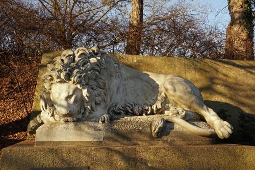 狮子、石、雕塑