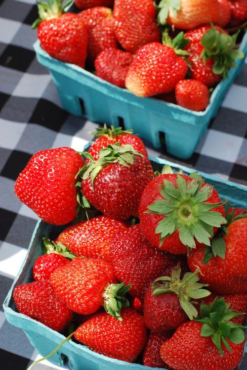 草莓、篮草莓、水果
