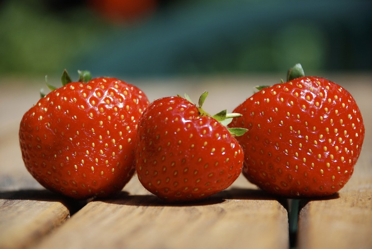 草莓、夏天、三免费图片