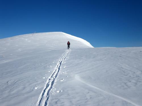 山、雪、冬天