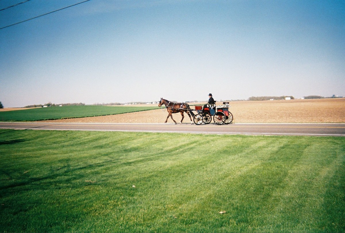 马、马车、农村免费图片