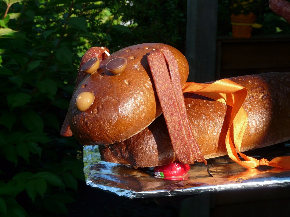 腊肠狗,狗,wurstwaldi