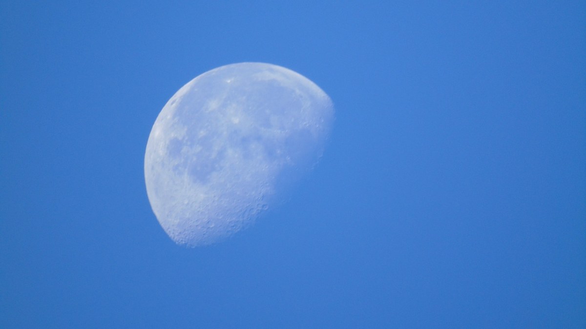 一天、月亮、白色的月亮免费图片