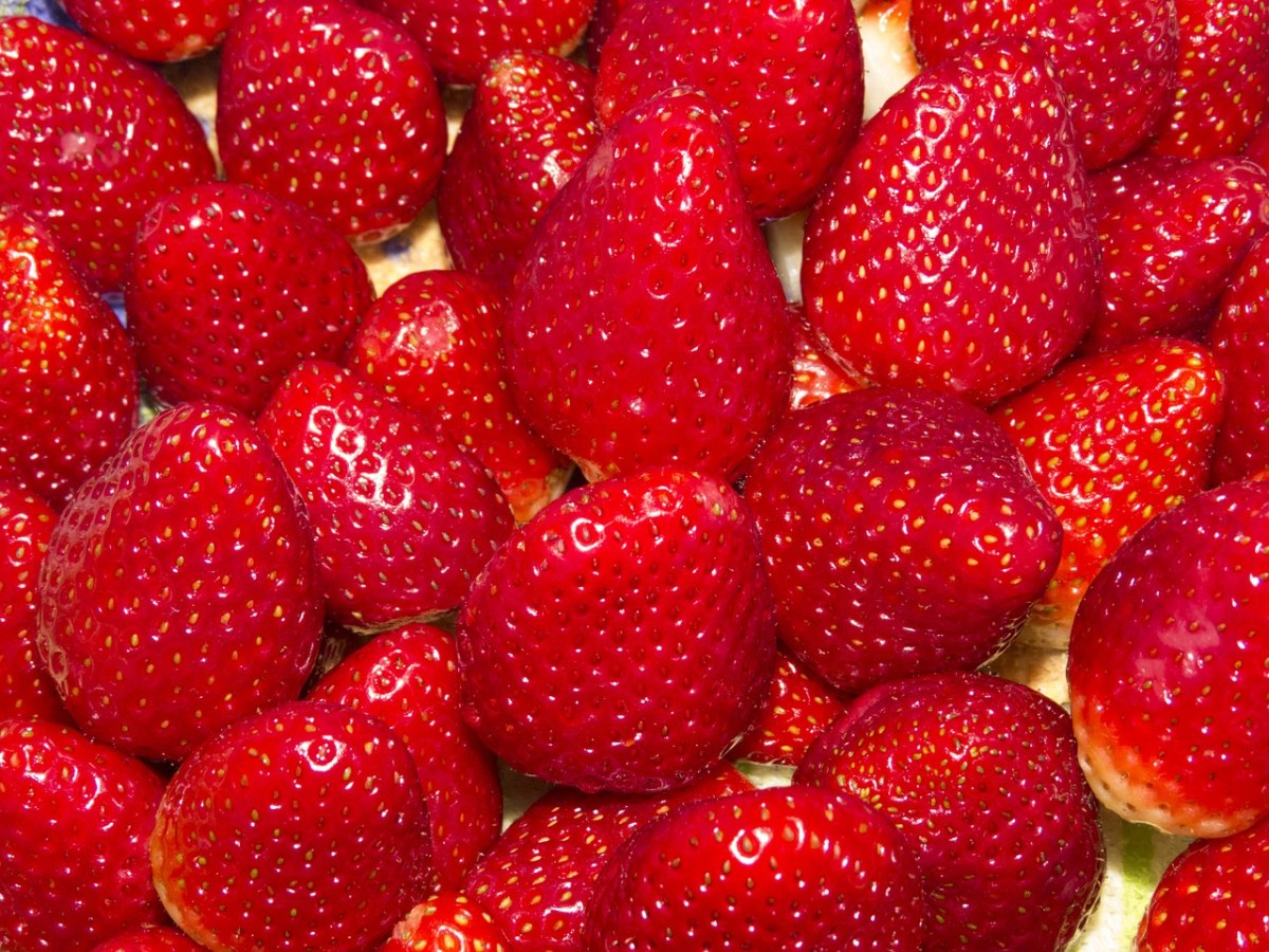 草莓、水果、宏免费图片