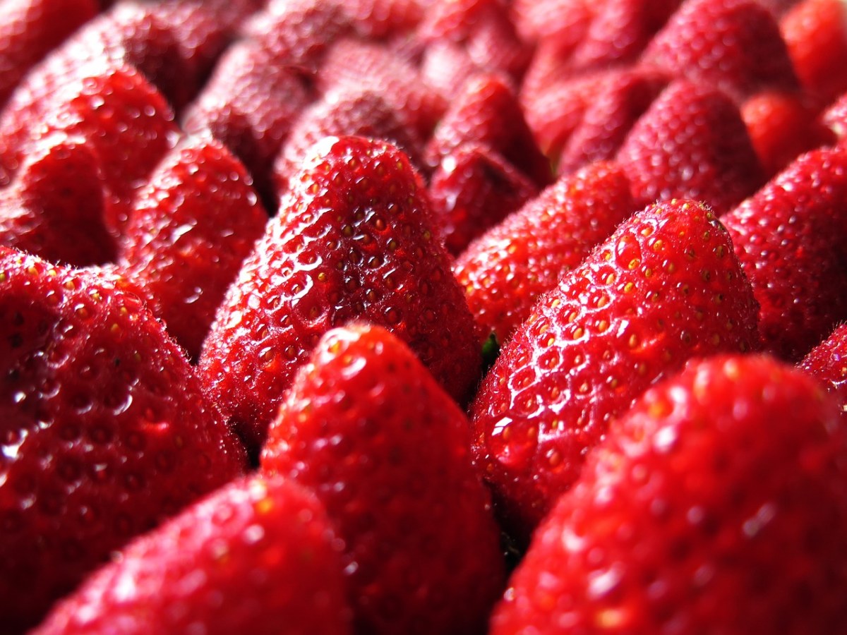草莓、红色、春天免费图片
