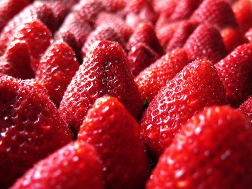 草莓、红色、春天