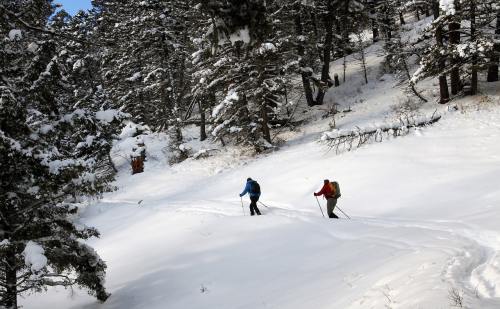 越野滑雪、雪、旅行