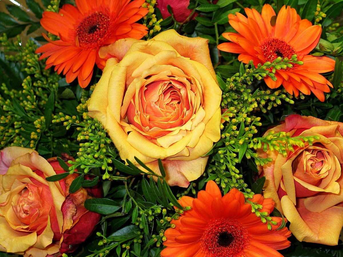 束鲜花、花商、束玫瑰免费图片