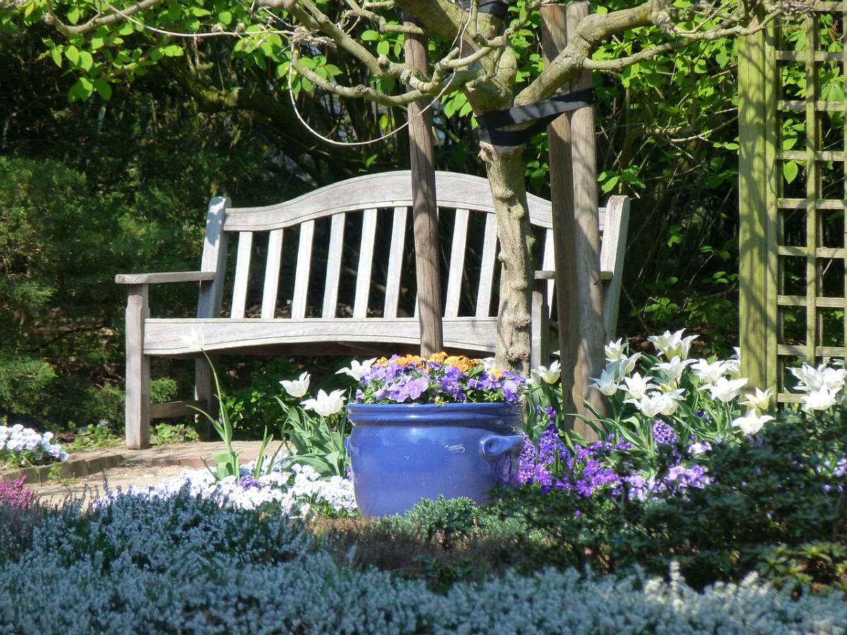 花园中的阳光与长椅免费图片