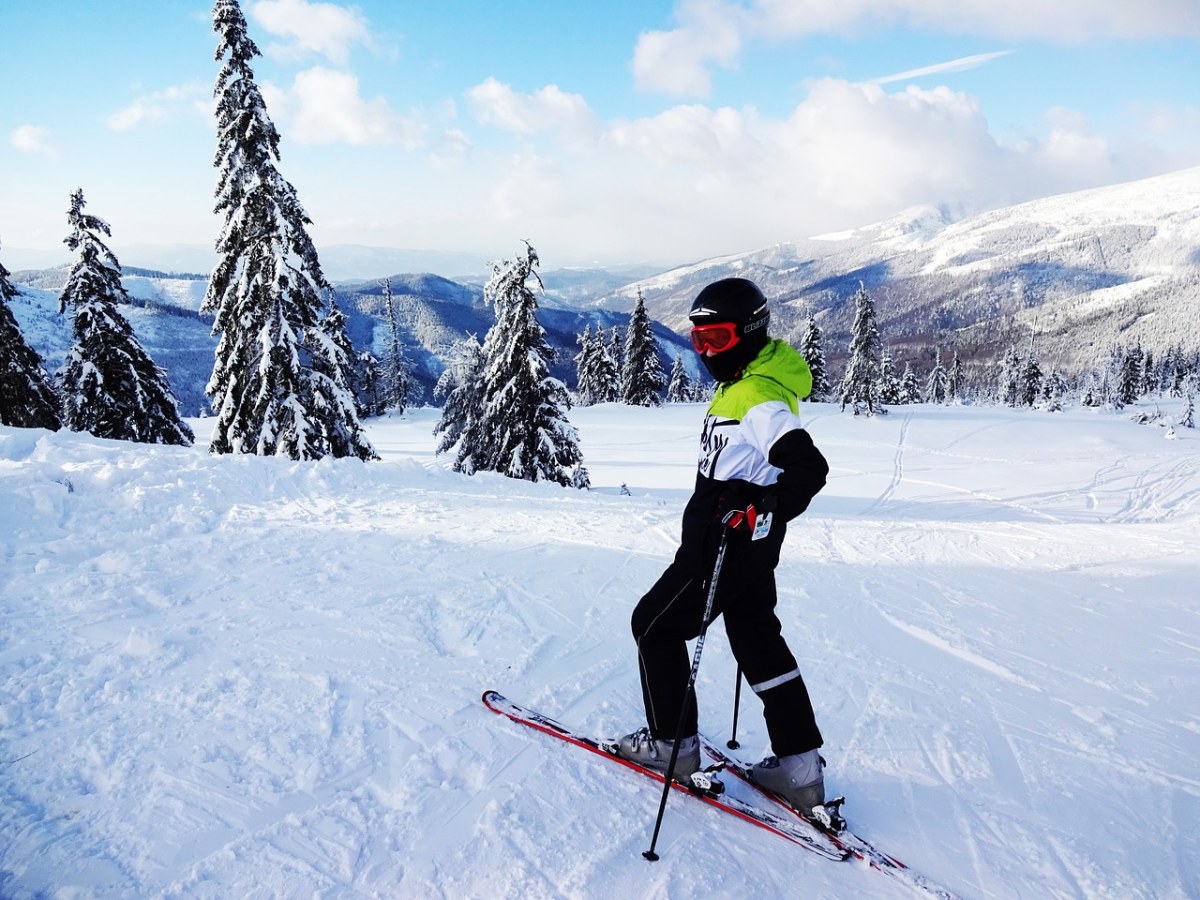 高山滑雪运动员、冬季、滑雪板免费图片