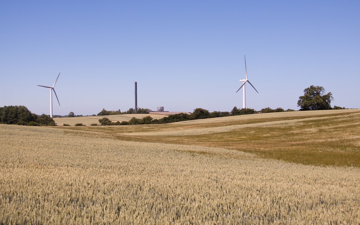 玉米田、风力涡轮机、景观免费图片
