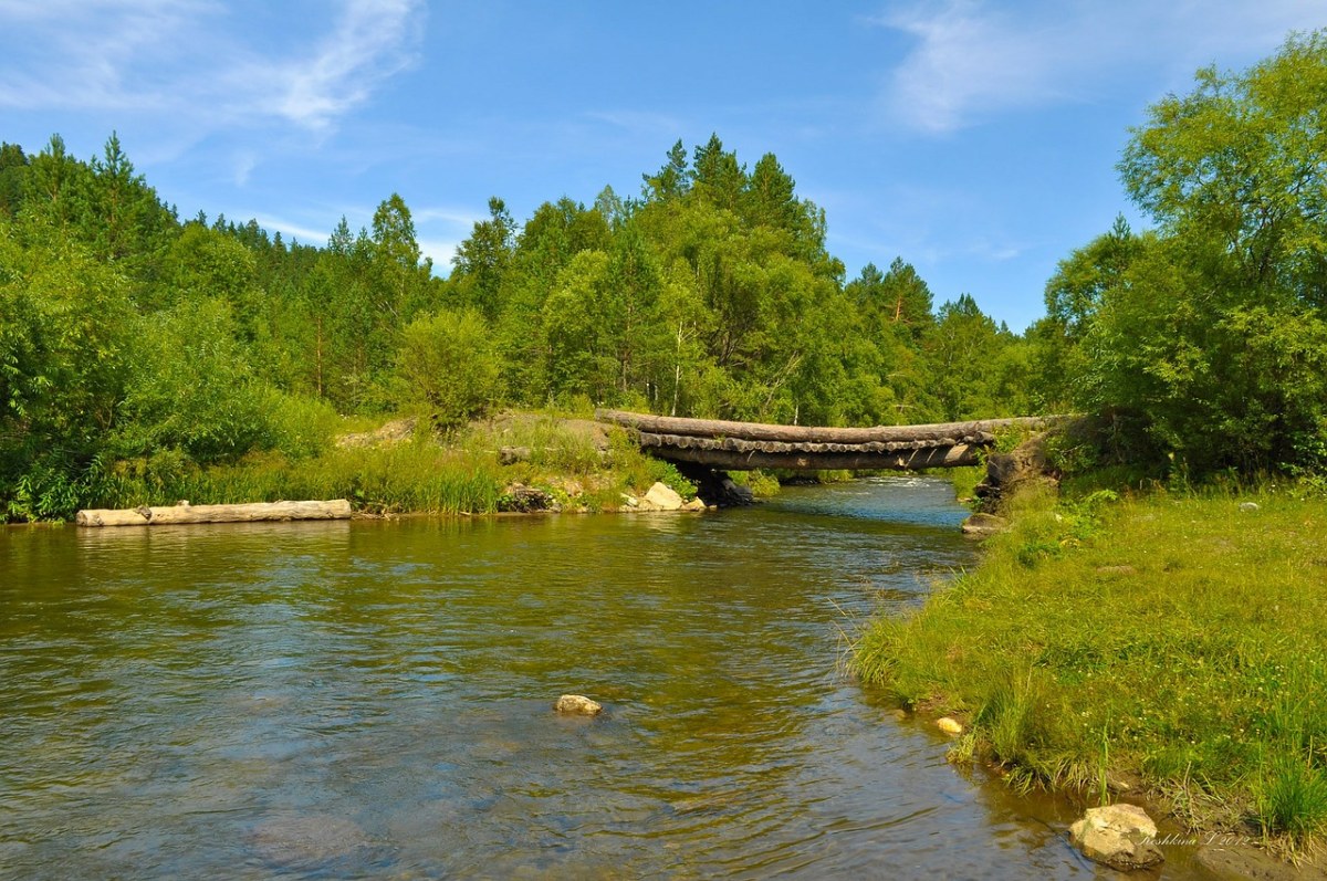 桥、木材、河免费图片