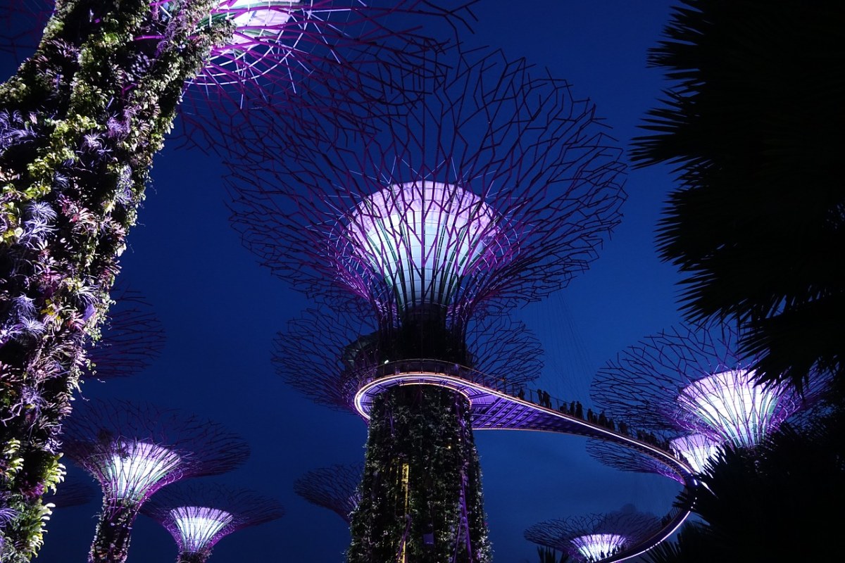 新加坡、堪称极富林免费图片