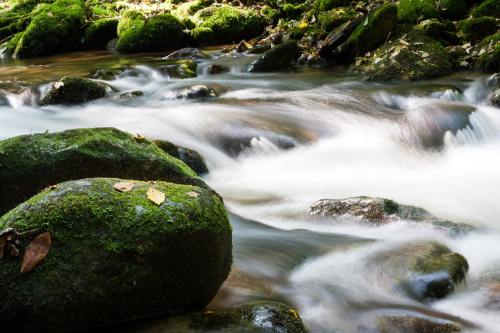 溪流流水与石头