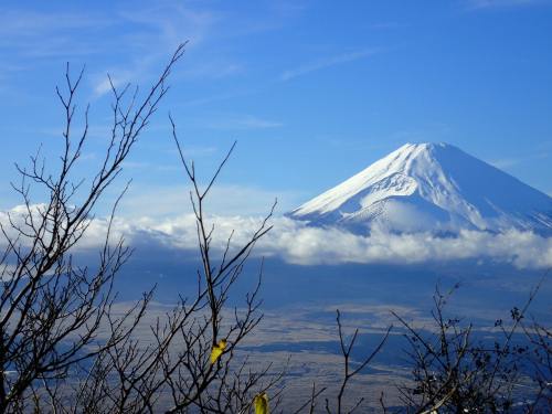 富士山、箱根