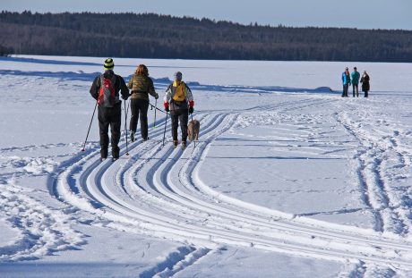 滑雪、冻的湖、西杰湖