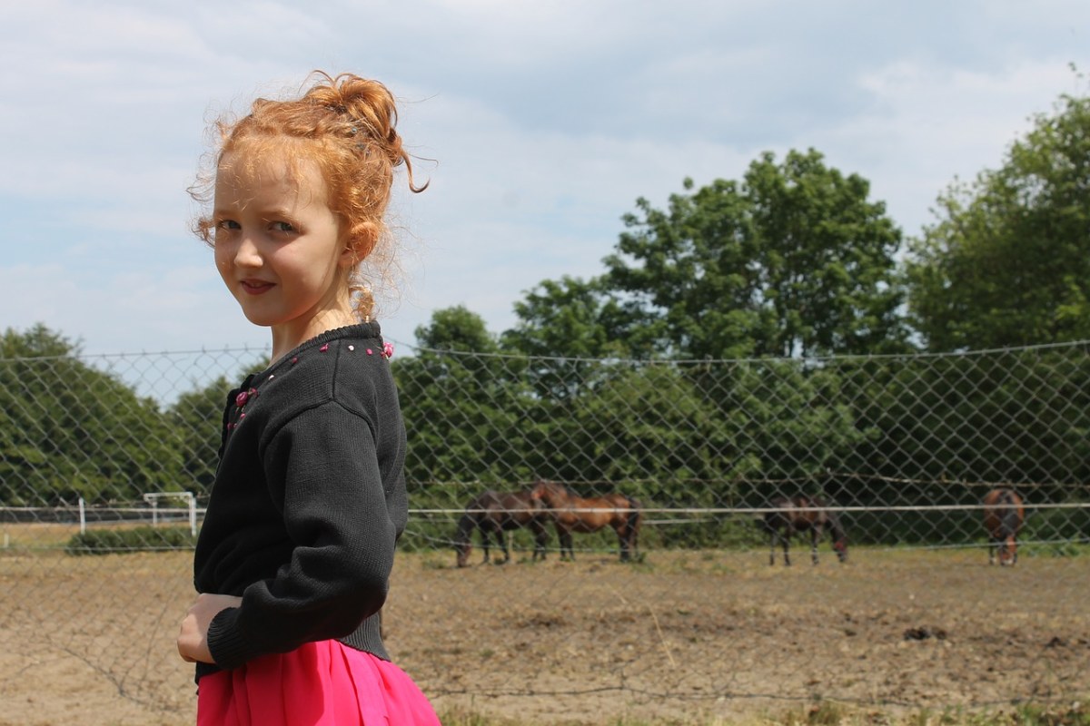 小女孩、马、一个微笑免费图片