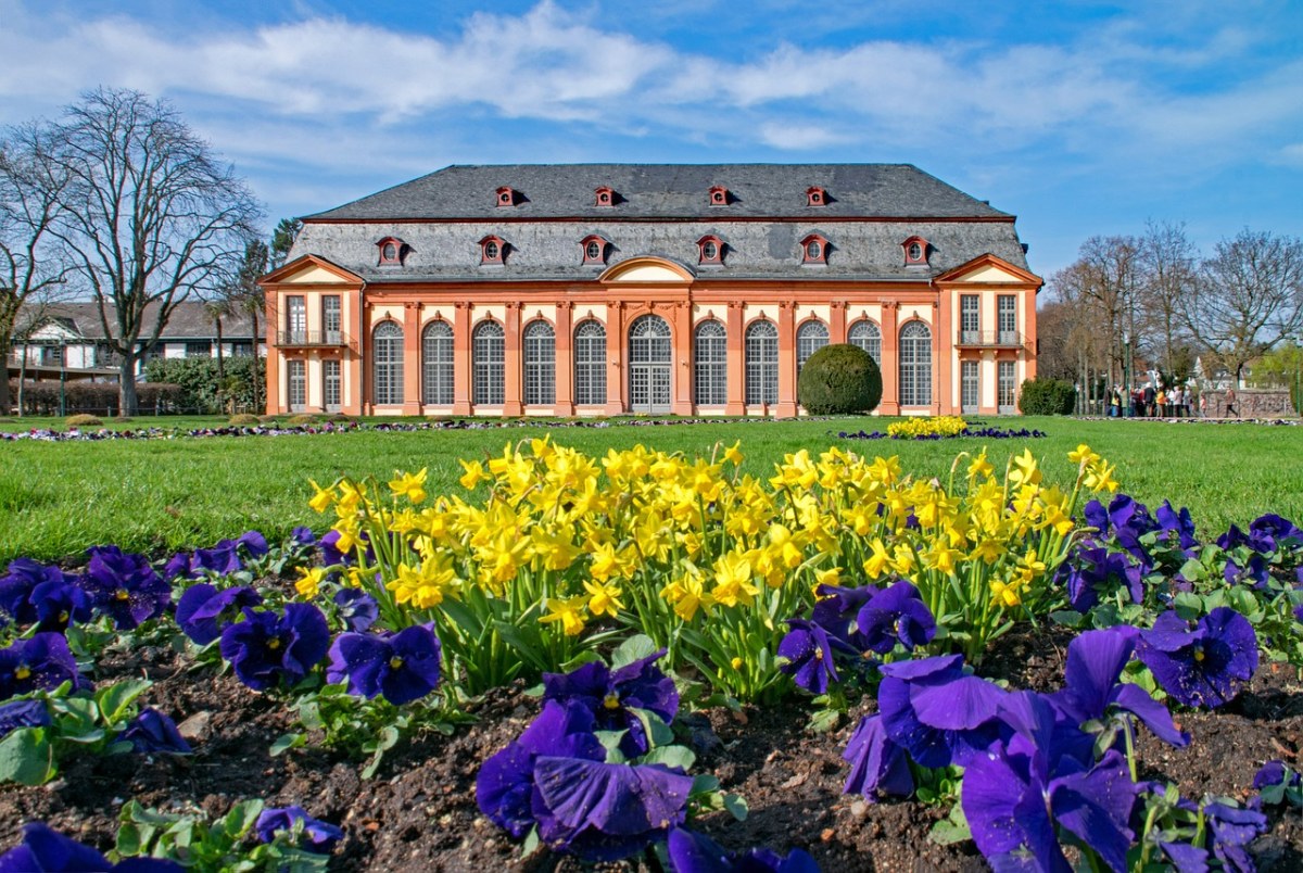 德国的庄园建筑花园草地上的花免费图片