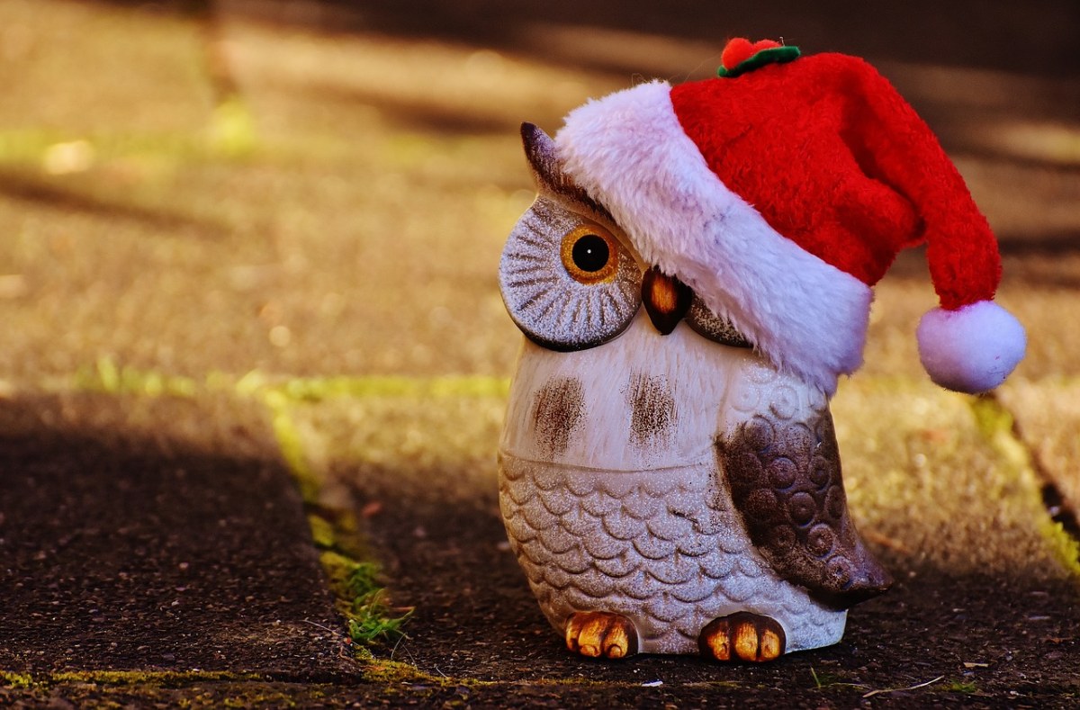 圣诞节、猫头鹰、圣诞老人的帽子免费图片
