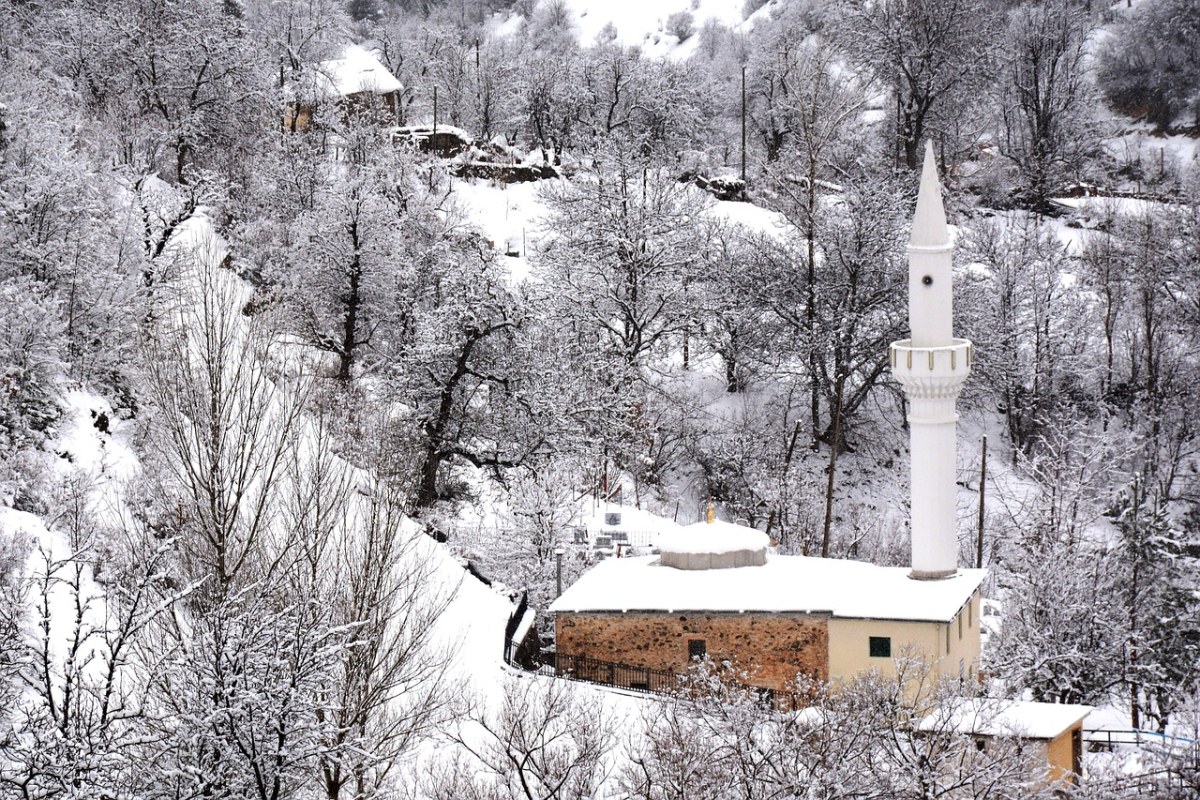雪、白、非洲工业部长会议免费图片