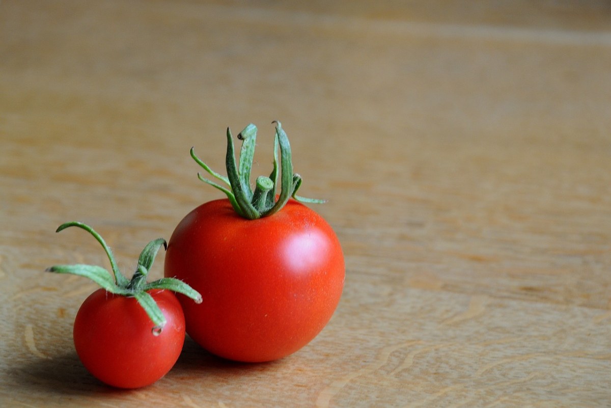 蕃茄、蔬菜、红色免费图片