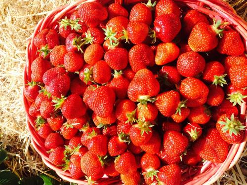 草莓、红色、甜