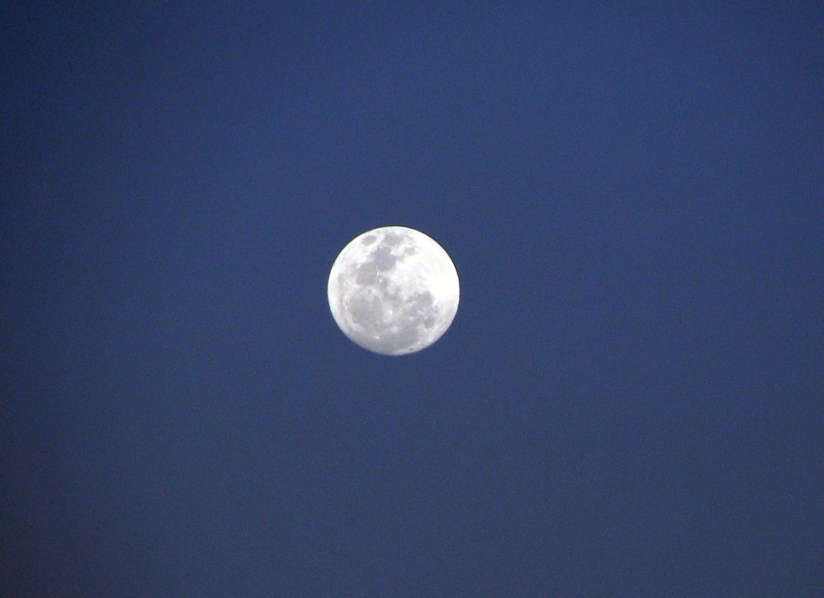 月亮、印度、天空免费图片