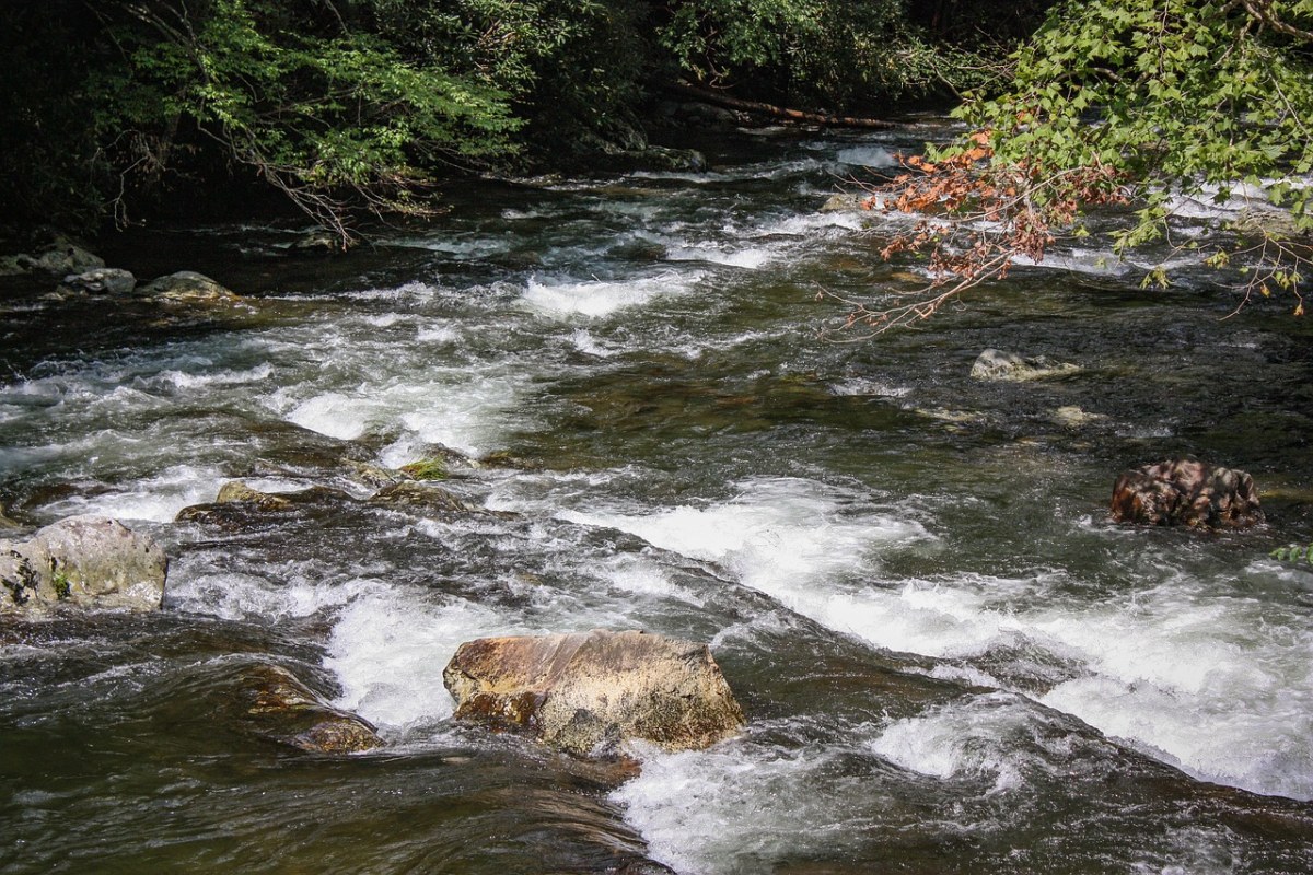 河、岩、溪免费图片