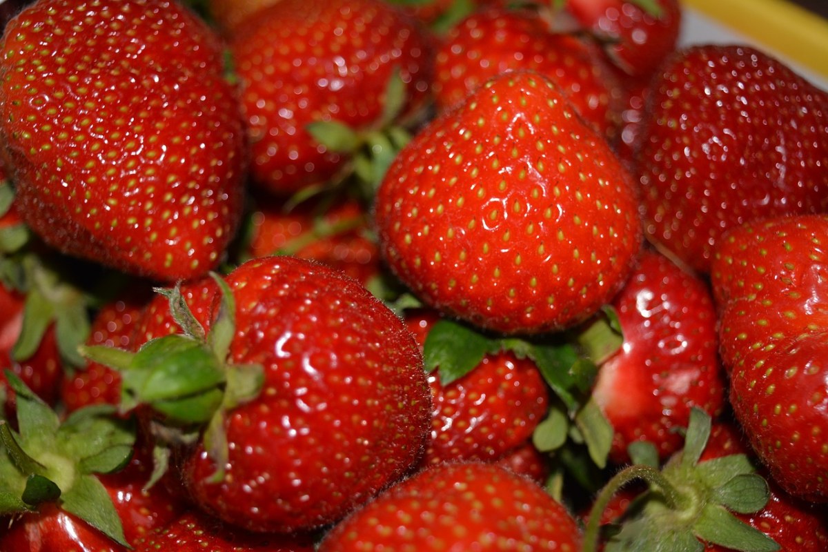 草莓、夏季、红色免费图片