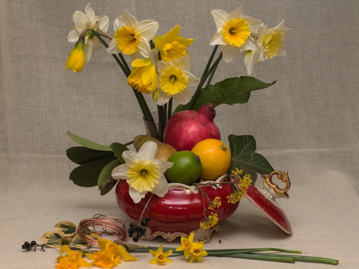 水仙花与水果静物免费图片