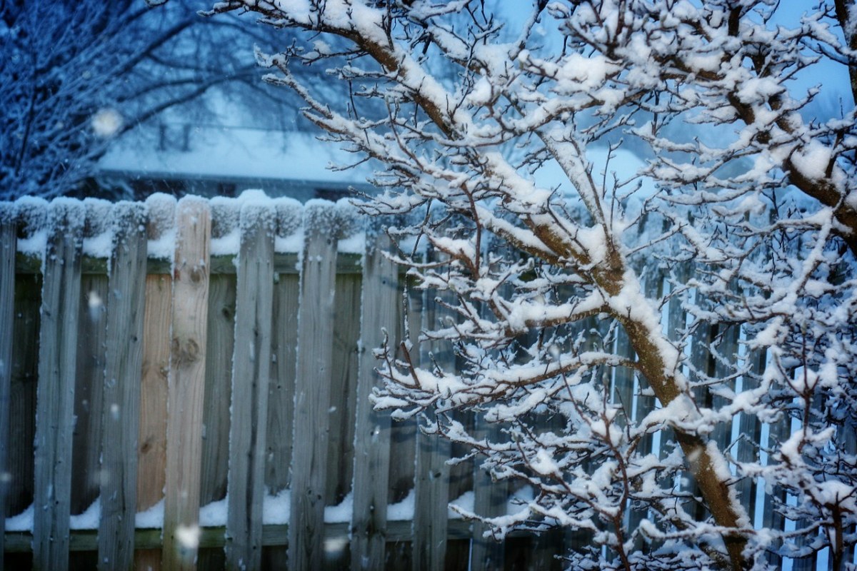冬天、篱笆、雪免费图片