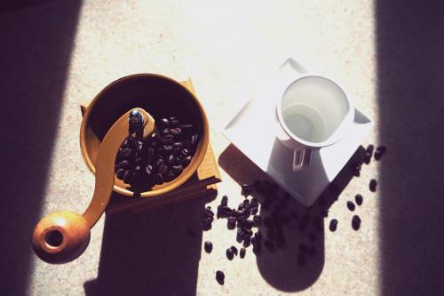 咖啡、豆类、种子