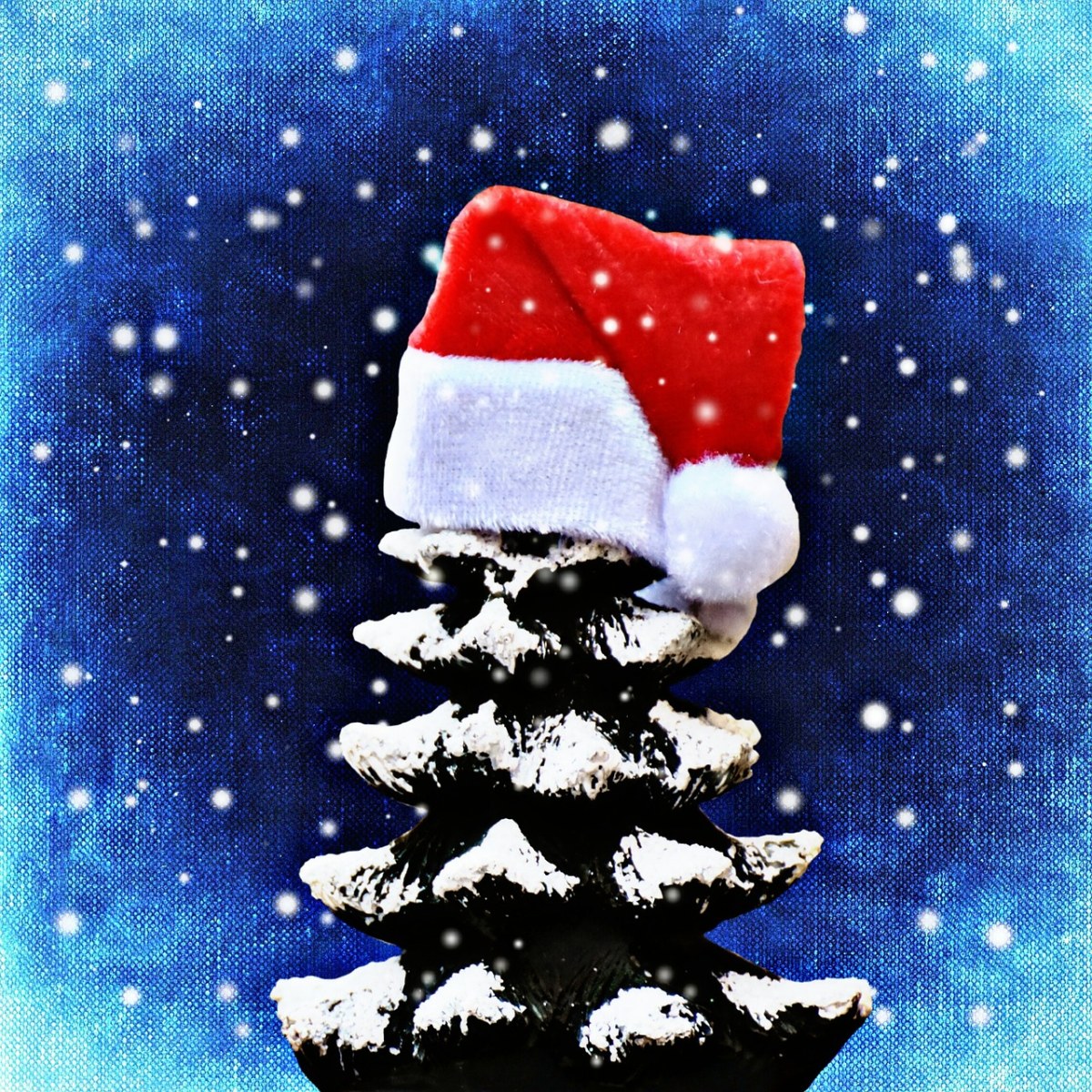 圣诞节、冷杉、雪免费图片